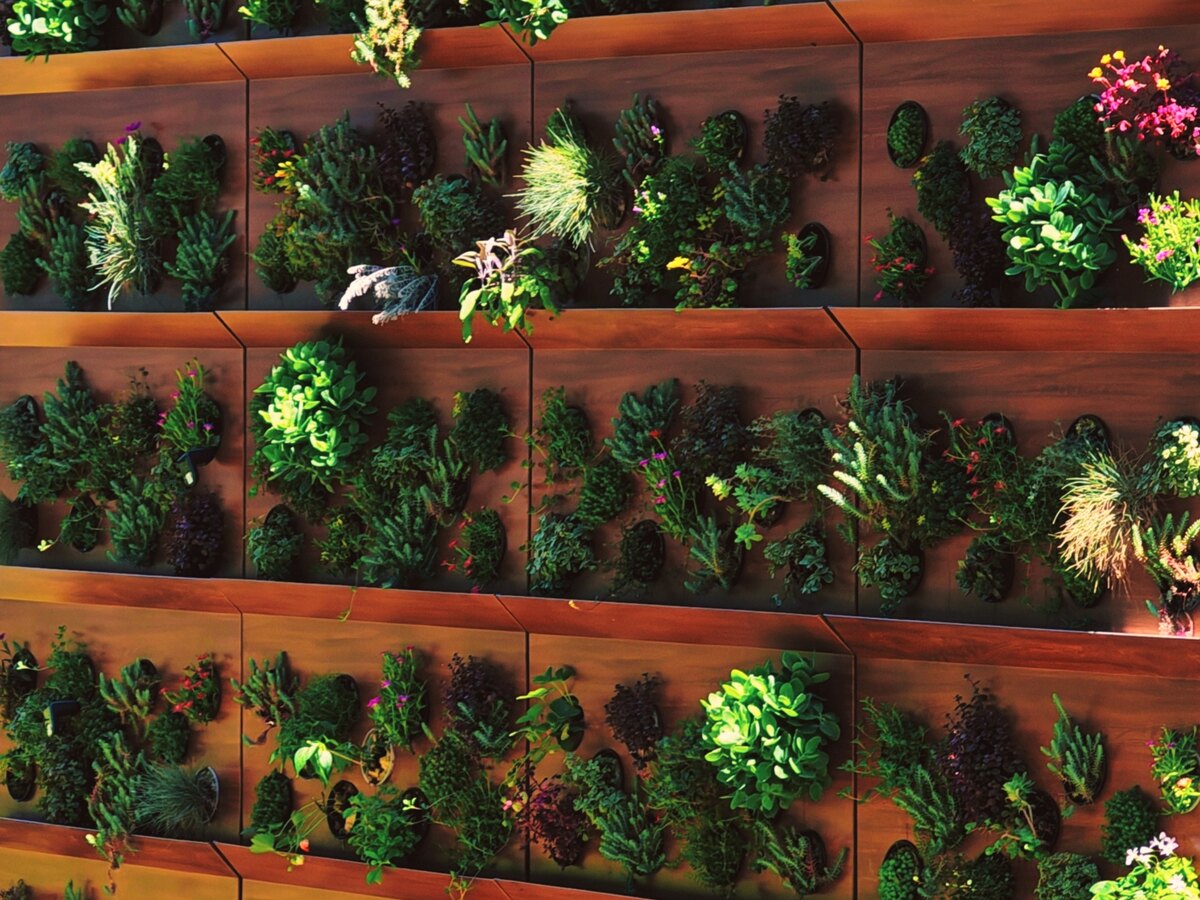 Façade végétalisée GreenCover — démonstrateur de 20 modules, Saint-Médard-d'Eyrans