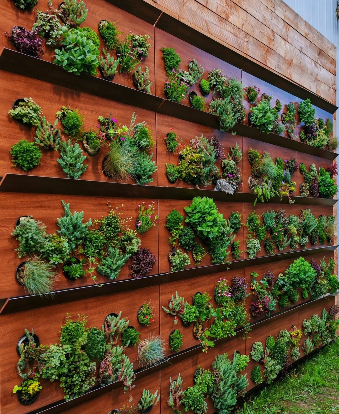 Façade végétalisée GreenCover — démonstrateur pleine échelle